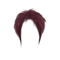 people & hair free transparent png image.