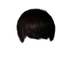 people & Hair free transparent png image.