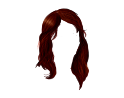 people & hair free transparent png image.