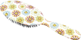 objects & Hairbrush free transparent png image.