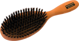 objects & hairbrush free transparent png image.