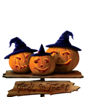 holidays & halloween free transparent png image.