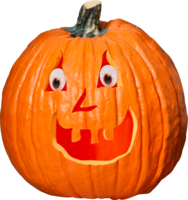 holidays & Halloween free transparent png image.