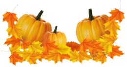 holidays & Halloween free transparent png image.