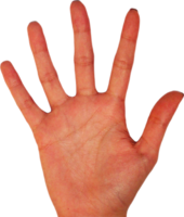 people & Hands free transparent png image.