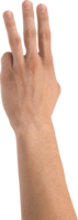 people & Hands free transparent png image.