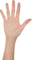 people & hands free transparent png image.