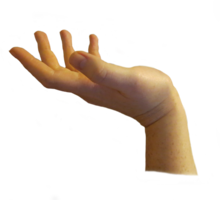 people & hands free transparent png image.