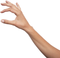 people & hands free transparent png image.