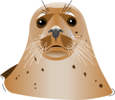 animals & Harbor seal free transparent png image.