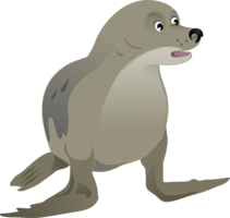 animals & harbor seal free transparent png image.