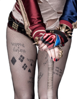 heroes & Harley Quinn free transparent png image.