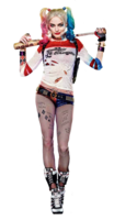 heroes & Harley Quinn free transparent png image.