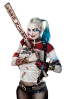 heroes & Harley Quinn free transparent png image.