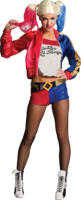 heroes & Harley Quinn free transparent png image.