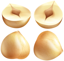 fruits & hazelnut free transparent png image.