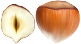 fruits & Hazelnut free transparent png image.