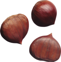 fruits & Hazelnut free transparent png image.