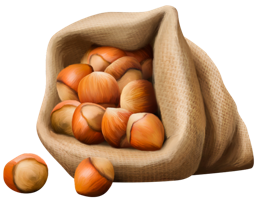 fruits & hazelnut free transparent png image.