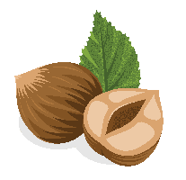fruits & hazelnut free transparent png image.