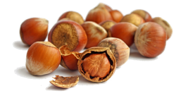 fruits & Hazelnut free transparent png image.