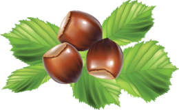 fruits & Hazelnut free transparent png image.