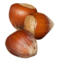 fruits & hazelnut free transparent png image.