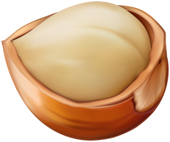 fruits & hazelnut free transparent png image.