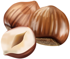 fruits & hazelnut free transparent png image.