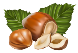 fruits & Hazelnut free transparent png image.