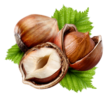 fruits & hazelnut free transparent png image.