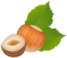 fruits & Hazelnut free transparent png image.