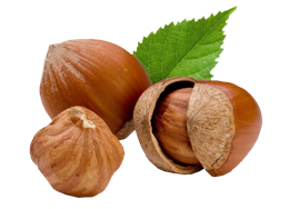 fruits & hazelnut free transparent png image.