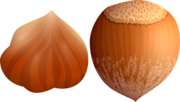 fruits & hazelnut free transparent png image.