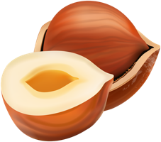 fruits & Hazelnut free transparent png image.