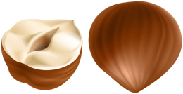 fruits & hazelnut free transparent png image.