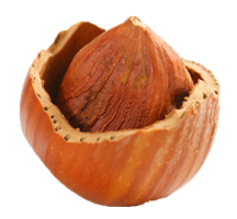 fruits & Hazelnut free transparent png image.