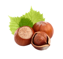 fruits & hazelnut free transparent png image.