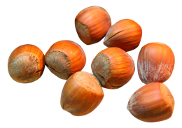 fruits & hazelnut free transparent png image.