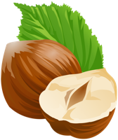 fruits & hazelnut free transparent png image.