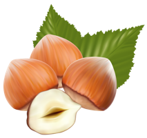 fruits & Hazelnut free transparent png image.