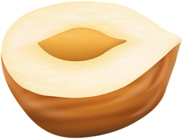 fruits & hazelnut free transparent png image.