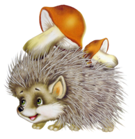 animals & Hedgehog free transparent png image.