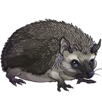 animals & hedgehog free transparent png image.