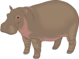 animals & hippo free transparent png image.