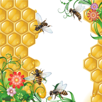 food & Honey free transparent png image.