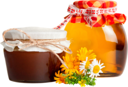 food & Honey free transparent png image.