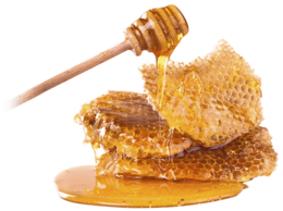 food & Honey free transparent png image.