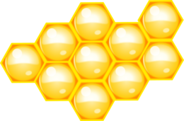 food & Honey free transparent png image.