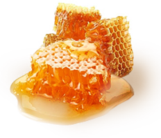 food & Honey free transparent png image.